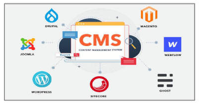 Content management systems (CMS)