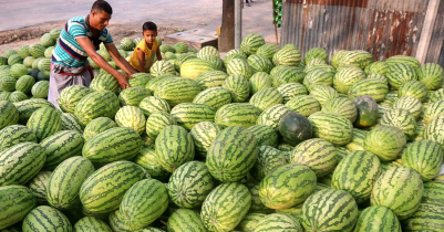 শ্রীমঙ্গলে হঠাৎ করে বেড়েছে তরমুজের দাম!