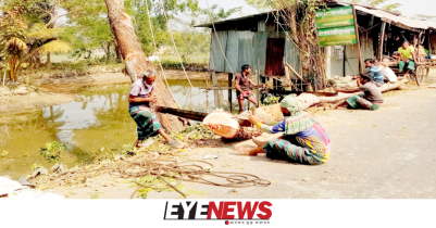 উজিরপুরে অনুমতি ছাড়াই সড়কের শতাধিক গাছ কর্তন 