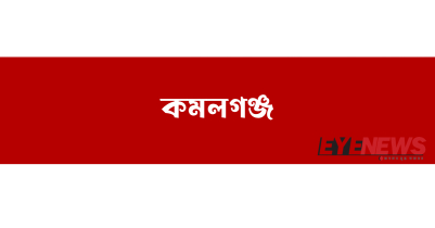 একই এলাকা থেকে ৪ গরু ও শহরে একটি বাসায় দুধর্ষ চুরি