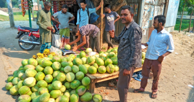 তীব্র গরমে বাজারে বেড়েছে তরমুজের চাহিদা