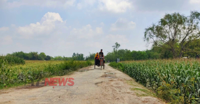 সংস্কারের অভাবে সড়কের বেহাল দশা; ভোগান্তিতে জনসাধারণ