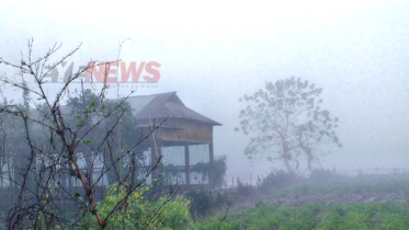 আজ রাত থেকে বাড়বে শীত