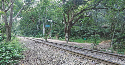 Fire in Lawachara National Park in Kamolganj