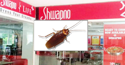 Rajmahal and Swapno of Sylhet city fined, cockroaches in food