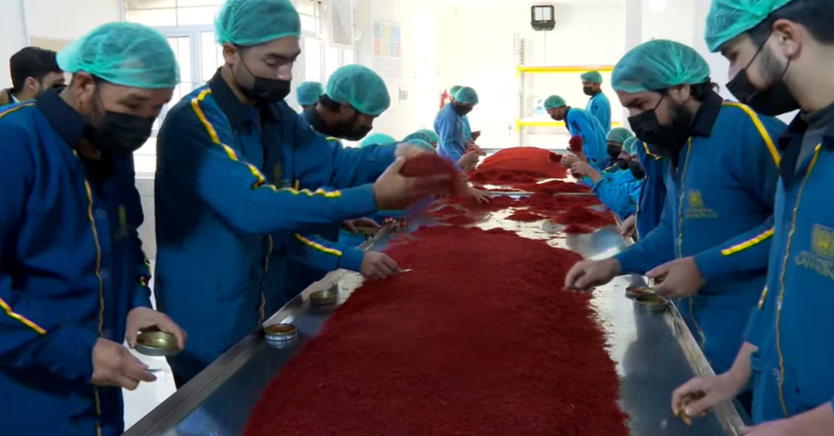 Saffron farming in Afghanistan-আজকের নিউজ ২২/৯/২০২৩