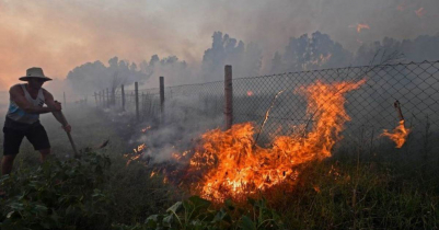 আলজেরিয়ায় ভয়াবহ দাবানলে প্রাণ গেল ৩০ জনের 