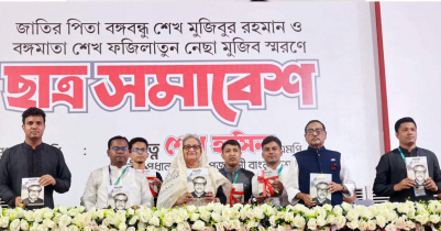 বিএনপি জনগণের ভোটাধিকার নিয়ে ছিনিমিনি খেলতে চায় : প্রধানমন্ত্রী