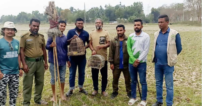 কমলগঞ্জে পাখি ও পাখি ধরার সরঞ্জাম উদ্বার