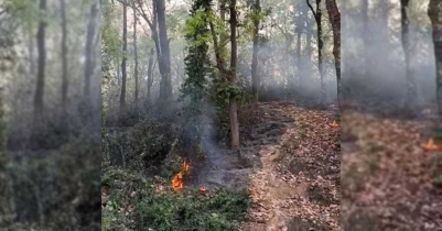 এবার মৌলভীবাজারে পুড়লো বর্ষিজোড়া বন