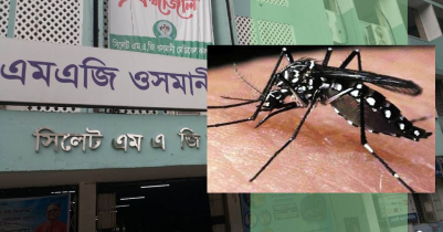 সিলেটে ক্রমেশ বাড়ছে ডেঙ্গু রোগীর সংখ্যা 