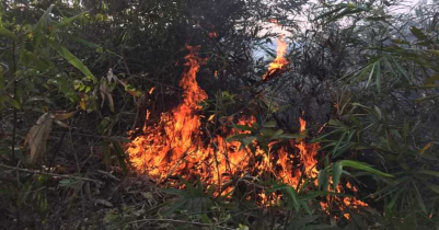 কমলগঞ্জে স্বাস্থ্য মন্ত্রণালয়ের ৬ একর জায়গা পুড়ে ছাই