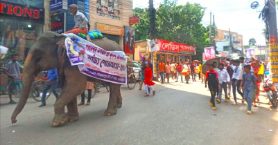 হাতি চড়িয়ে মৌলভীবাজারে জন্মাষ্টমী উদযাপন