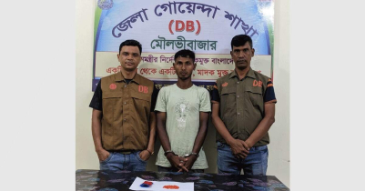 মৌলভীবাজারে ডিবির অভিযানে ১৩০ পিস ইয়াবাসহ আটক ১