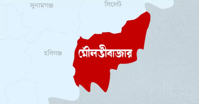 ফতেপুর ইউনিয়নের সার্ভার হ্যাক করে রোহিঙ্গাদের নিবন্ধন 