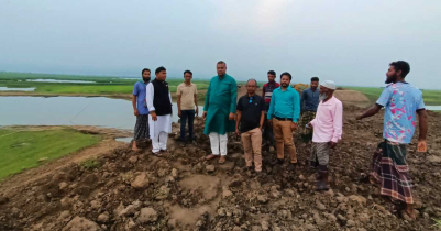 তাহিরপুরে নির্ধারিত সময়ের মধ্যে বাঁধের কাজ সম্পন্ন, জানালেন এমপি