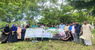 কুবিতে লিবারেল মাইন্ডস কর্তৃক বৃক্ষরোপণ কর্মসূচি পালন