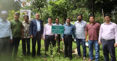 চলতি অর্থবছরে ১৫ হাজার বৃক্ষরোপন করবে শাবিপ্রবি প্রশাসন