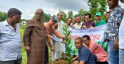 মৌলভীবাজারে পূজা পরিষদের বৃক্ষরোপণ 