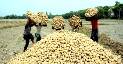 আজ থেকে নির্ধারিত ২৭ টাকা দরে আলু বিক্রি শুরু 