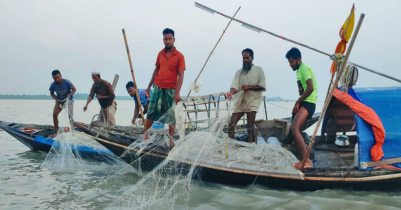 আজ মধ্যরাত থেকে ২২ দিন বন্ধ থাকবে ইলিশ শিকার 