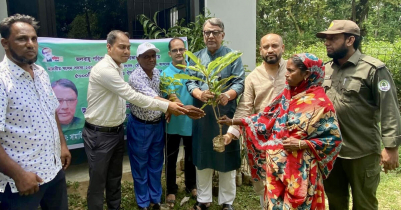 মৌলভীবাজারে গাছের চারা বিতরণ ও পোনা মাছ অবমুক্তকরণ