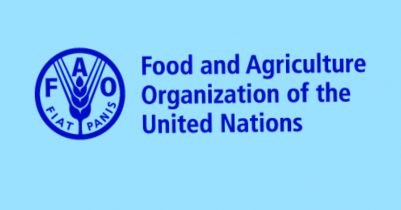 বাংলাদেশ জাতিসংঘের খাদ্য ও কৃষি সংস্থার কাউন্সিলের সদস্য নির্বাচিত
