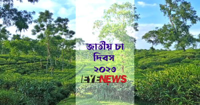 জাতীয় চা দিবস আজ, প্রথমবার দেয়া হবে জাতীয় চা পুরস্কার 