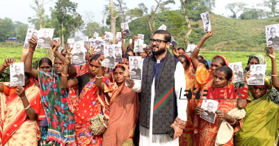 নৌকার প্রচারণায় জুড়ীর পথে-প্রান্তরে পরিবেশমন্ত্রীর ছেলে