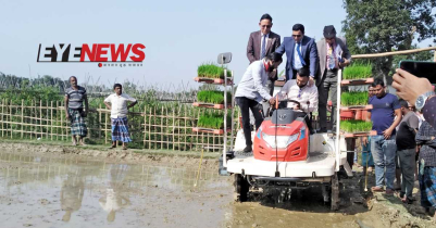 কমলগঞ্জে ট্রান্সপ্লান্টারের মাধ্যমে ধানের চারা রোপণ 