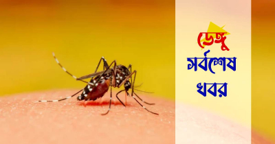 ২৪ ঘণ্টায় ডেঙ্গুতে আরো ১২ জনের মৃ ত্যু 