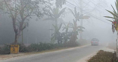 ৭ ডিগ্রি শীতে কাঁপছে তেতুলিয়া 