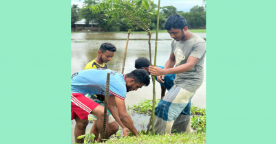 মৌলভীবাজারে পরিবেশবান্ধব গ্রাম গড়ার প্রয়াস স্বপ্ন ছোঁয়ার যুবদের