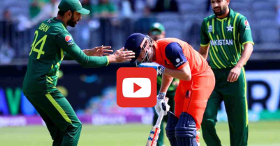 পাকিস্তান বনাম নেদারল্যান্ড লাইভ খেলা | Pakistan vs Netherlands live