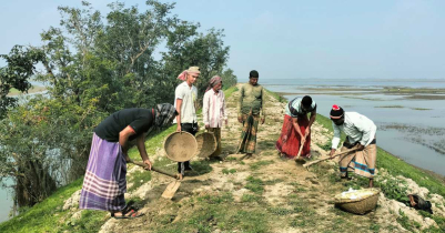 তাহিরপুরে ফসল রক্ষা বাঁধ নির্মাণ কাজের উদ্বোধন