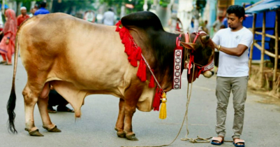 পবিত্র ঈদুল আজহা ২০২৩ কতো তারিখ, জানালো আরব আমিরাত 