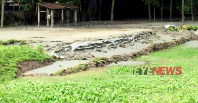 বিবিয়ানা থেকে ড্রেজার মেশিন দিয়ে বালু উত্তোলন 