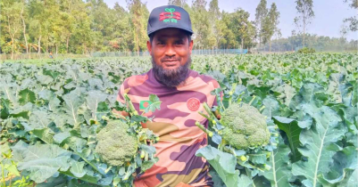 শ্রীমঙ্গলে ‘ব্রোকলি’ চাষ করে সাফল্য পেলেন কৃষক শরীফ