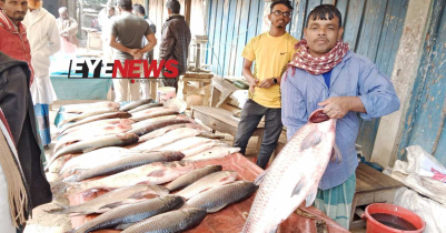 কমলগঞ্জে পৌষ সংক্রান্তি উপলক্ষে জমে উঠেছে মাছের মেলা