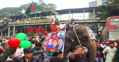 হাতির পিঠে চড়ে সাঈদ খোকনের বিজয় শোভাযাত্রা