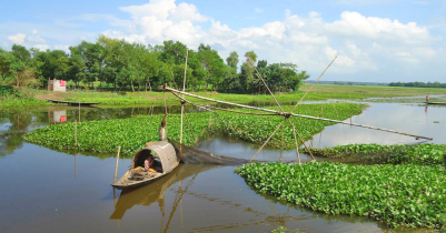 ভরা বর্ষায়ও জলহীন হবিগঞ্জের ভাটি এলাকা