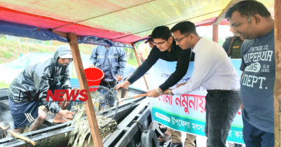 হাকালুকি হাওরে মাছের পোনা অবমুক্ত করল মৎস্য অধিদপ্তর