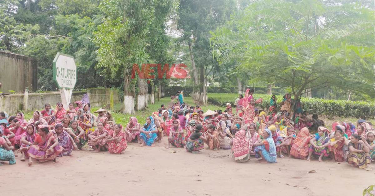 বাগানে কাজ বাদ দিয়ে কর্মবিরতিতে যোগ দিয়েছেন সকল নারী চা শ্রমিকরা। ছবি- আই নিউজ