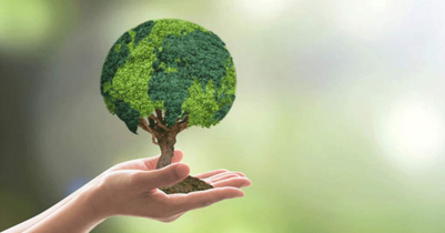 World Environment Day 2023