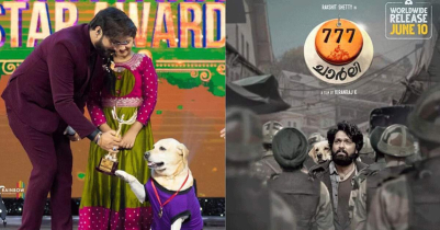 Charlie the dog bags award for lead role in ‘777 Charlie’