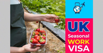 Seasonal Work Visa in the UK and our opportunity 