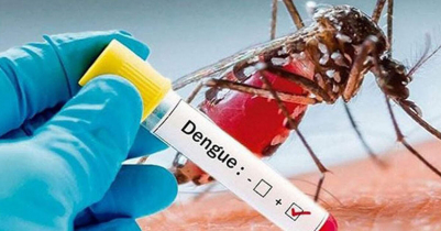 DGHS fears record dengue cases in August