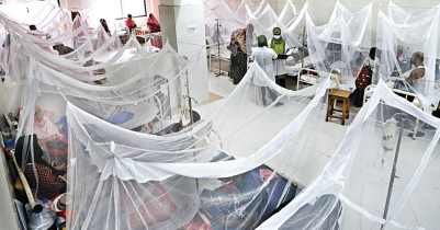 Dengue: 449 hospitalised in one day