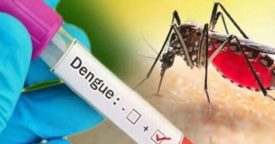 Dengue: 8 d i e, 1,589 hospitalised in 24 hours