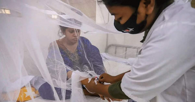 13 dengue patients d i e; 1533 hospitalized in 24 hours